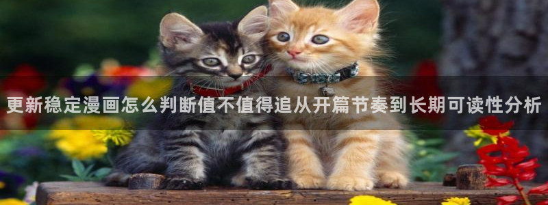 梦漫漫画每日更新