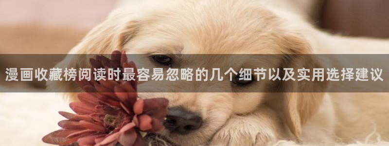 梦漫漫画热门作品:漫画收藏榜阅读时最容易忽略的几个细节以及实用选择建议