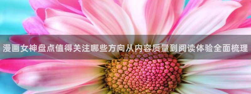 梦漫漫画漫画大全:漫画女神盘点值得关注哪些方向从内容质量到阅读体验全面梳理